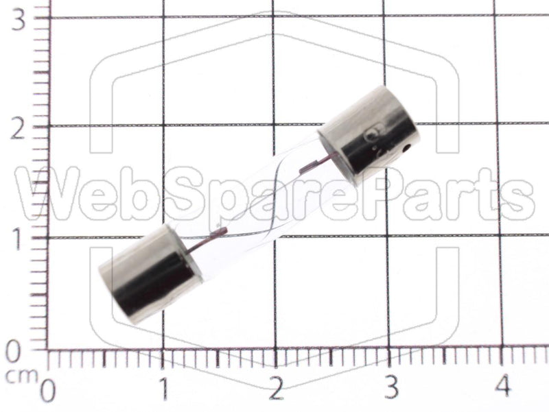 Lámpara incandescente axial 6,3 voltios 300 mA 1,9 W Ø 6,3 mm x 31 mm 