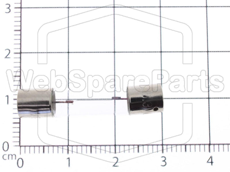 Incandescent Lamp Axial 12.6 Volts  300mA  Ø 6.3 mm x 31 mm